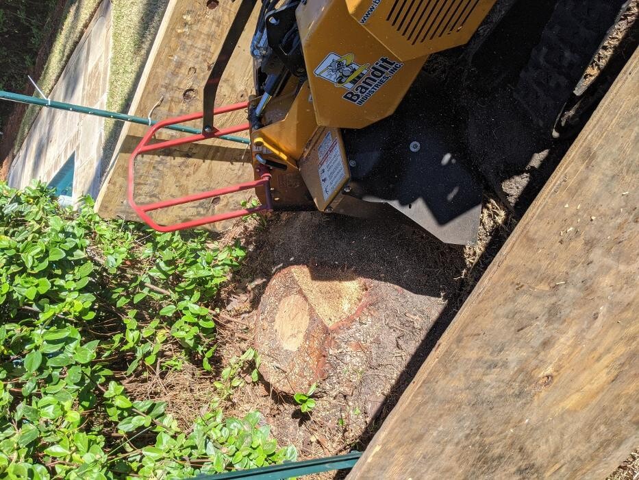 Images Southern Crab Stump Grinding