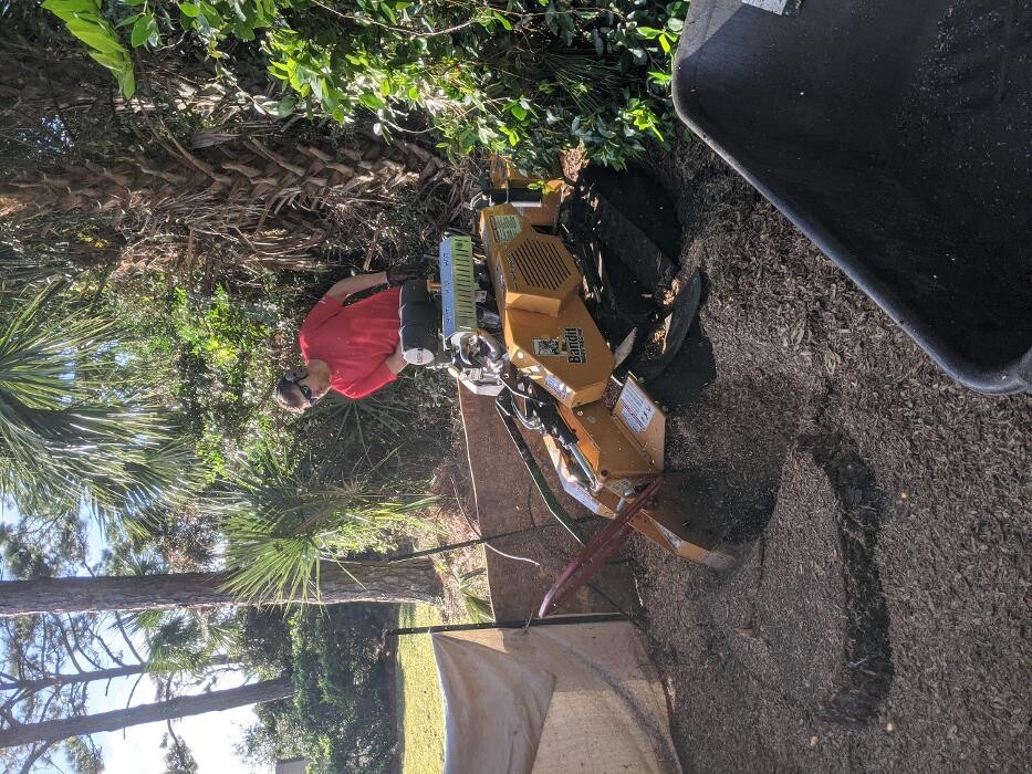 Images Southern Crab Stump Grinding