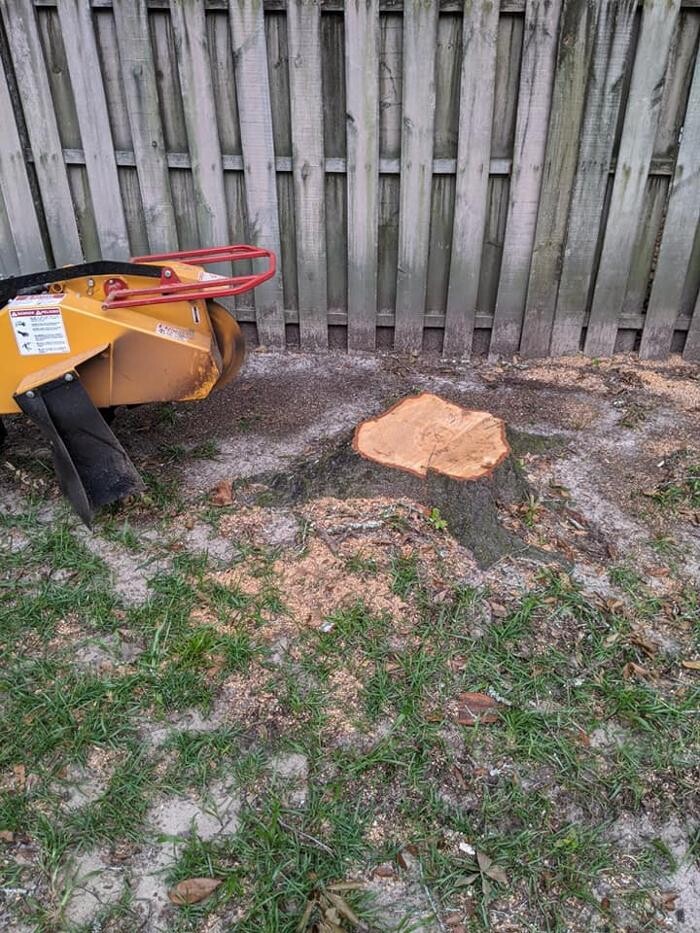 Images Southern Crab Stump Grinding