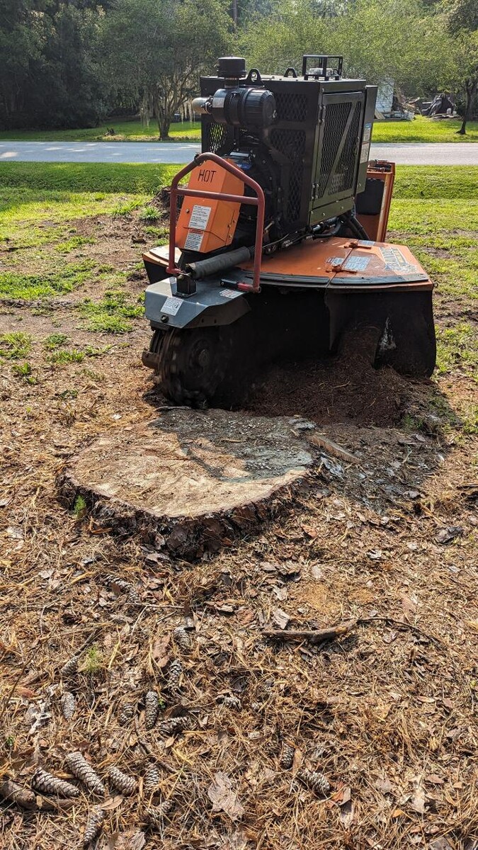 Images Southern Crab Stump Grinding