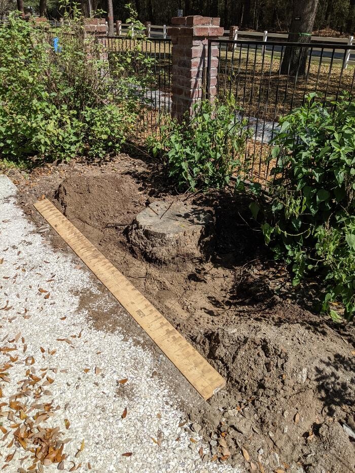 Images Southern Crab Stump Grinding