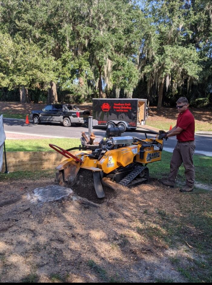 Images Southern Crab Stump Grinding