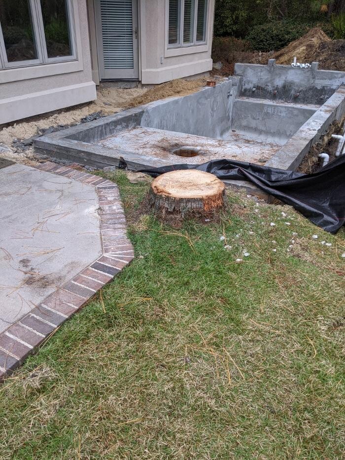 Images Southern Crab Stump Grinding