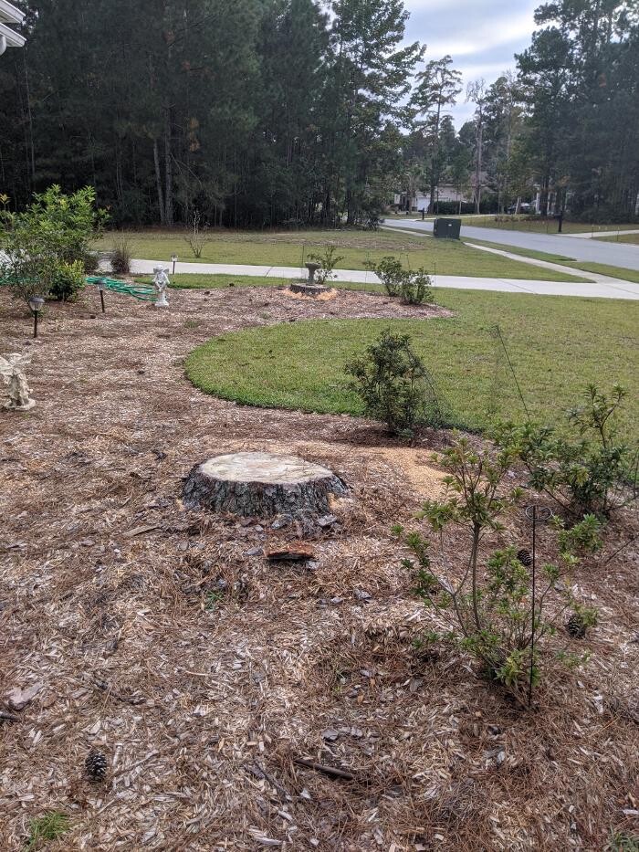 Images Southern Crab Stump Grinding