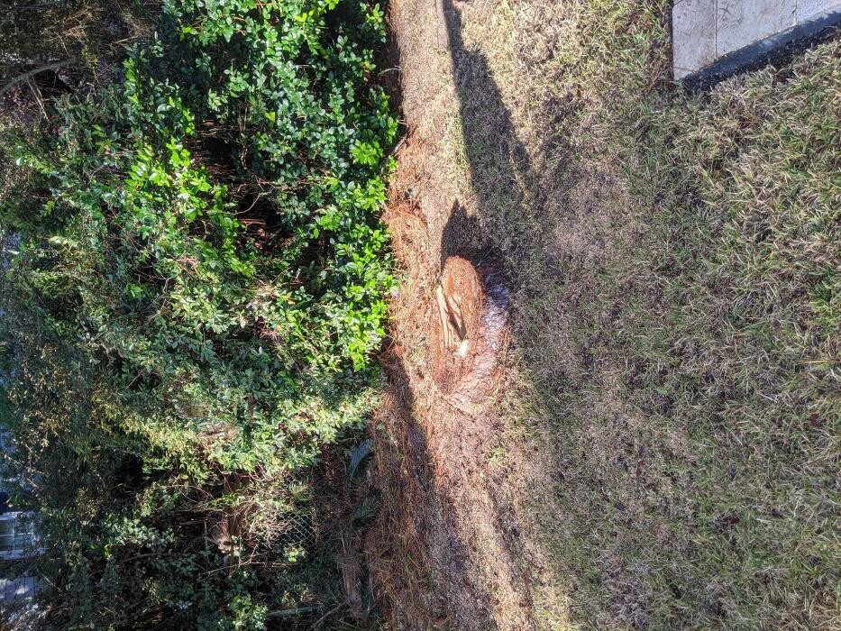 Images Southern Crab Stump Grinding