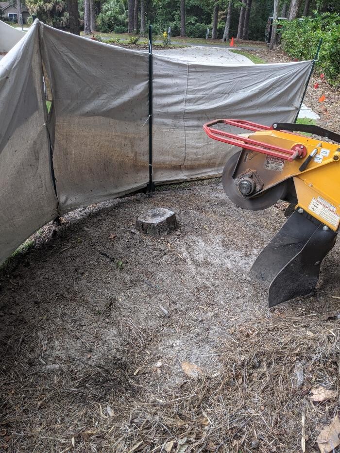 Images Southern Crab Stump Grinding