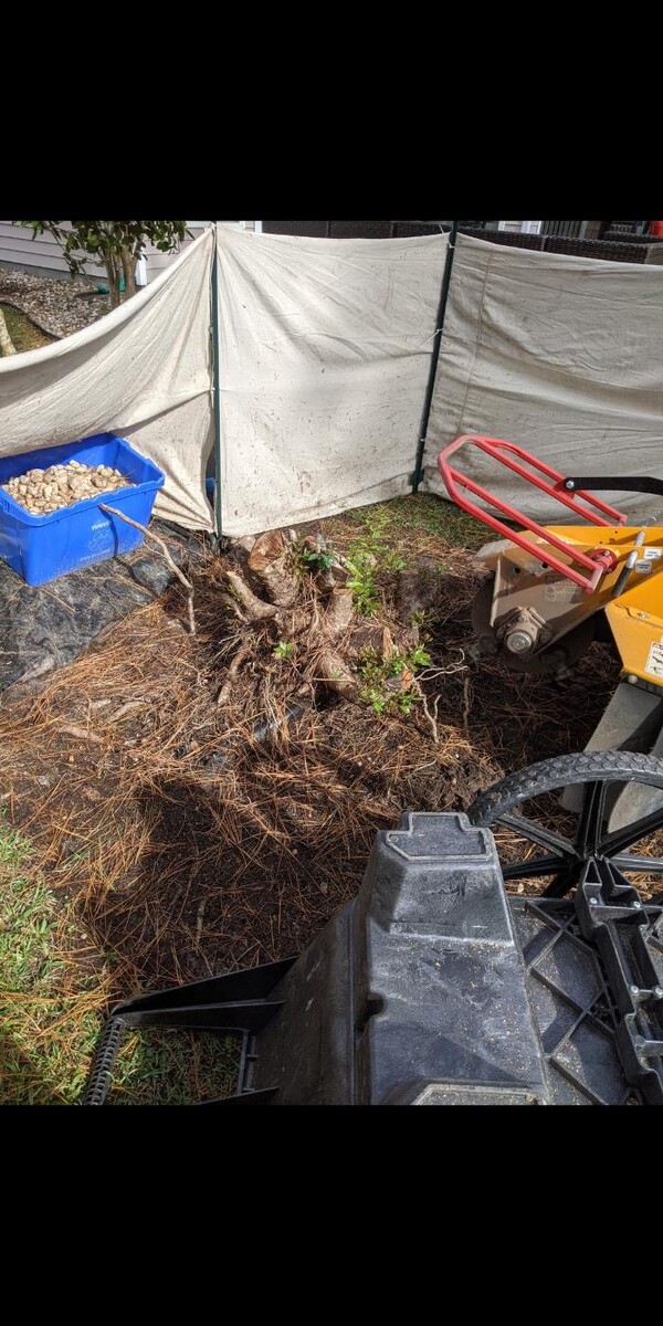 Images Southern Crab Stump Grinding