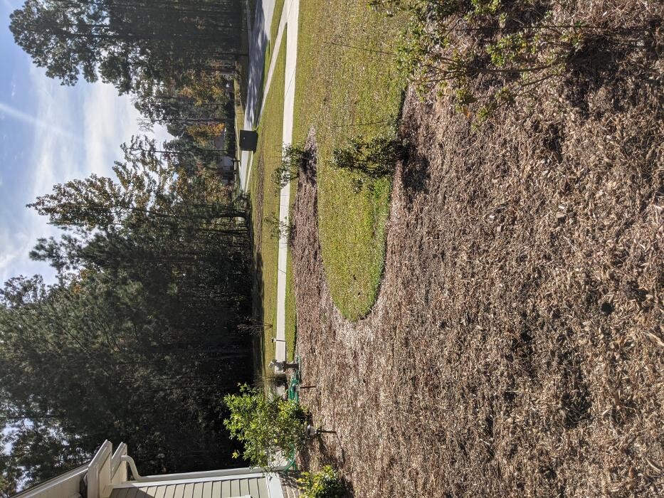 Images Southern Crab Stump Grinding