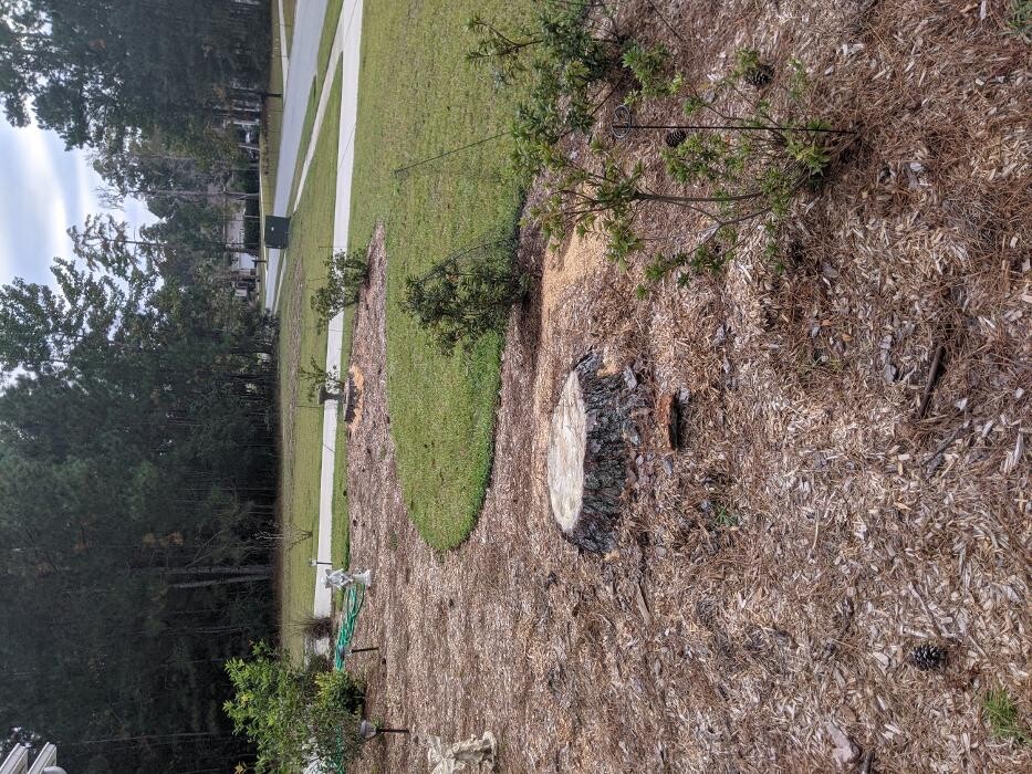 Images Southern Crab Stump Grinding