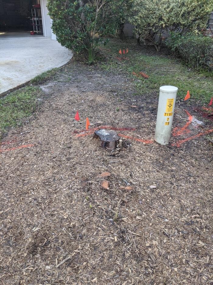 Images Southern Crab Stump Grinding
