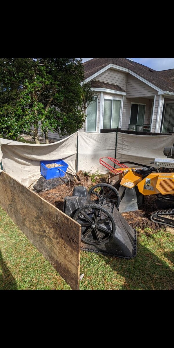 Images Southern Crab Stump Grinding