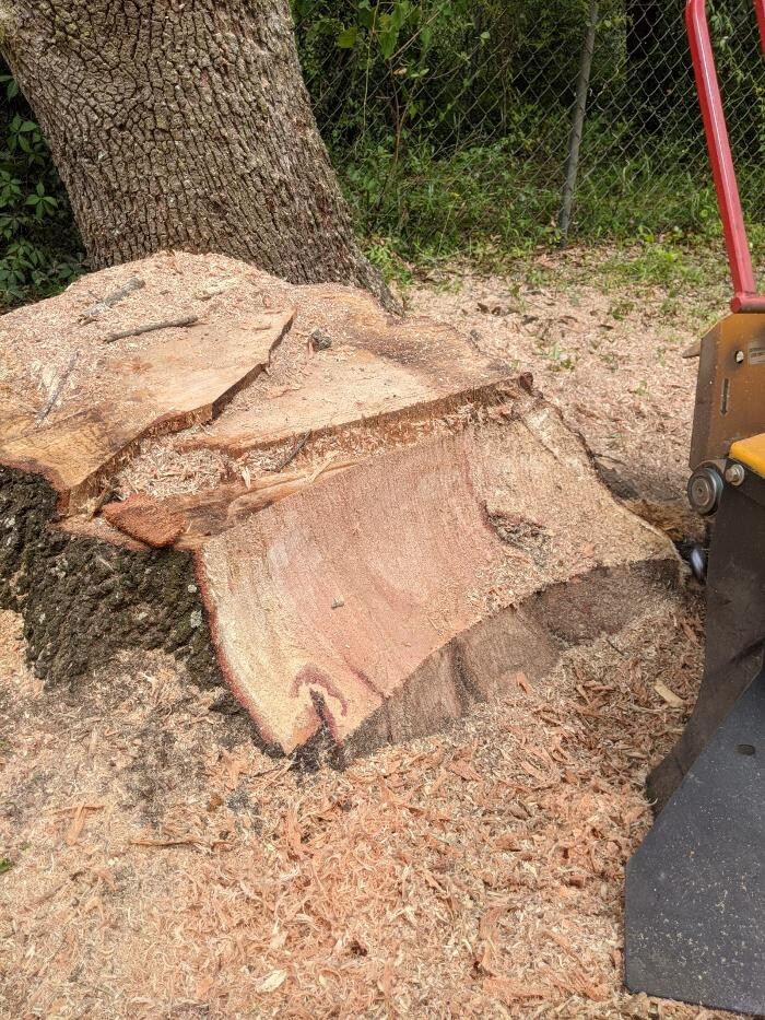 Images Southern Crab Stump Grinding
