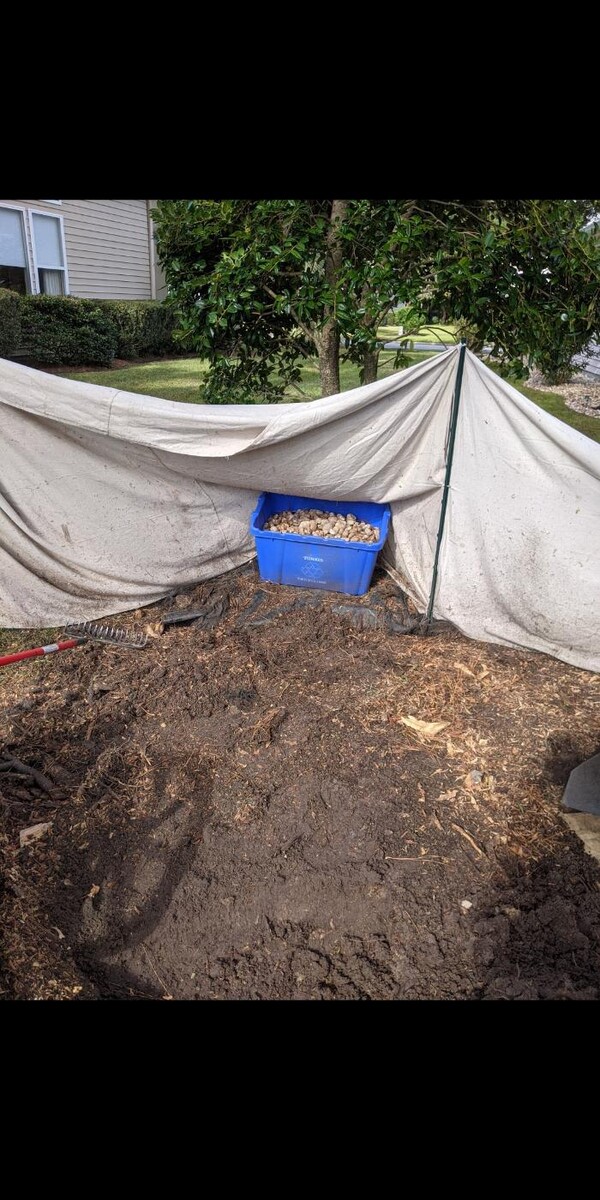 Images Southern Crab Stump Grinding
