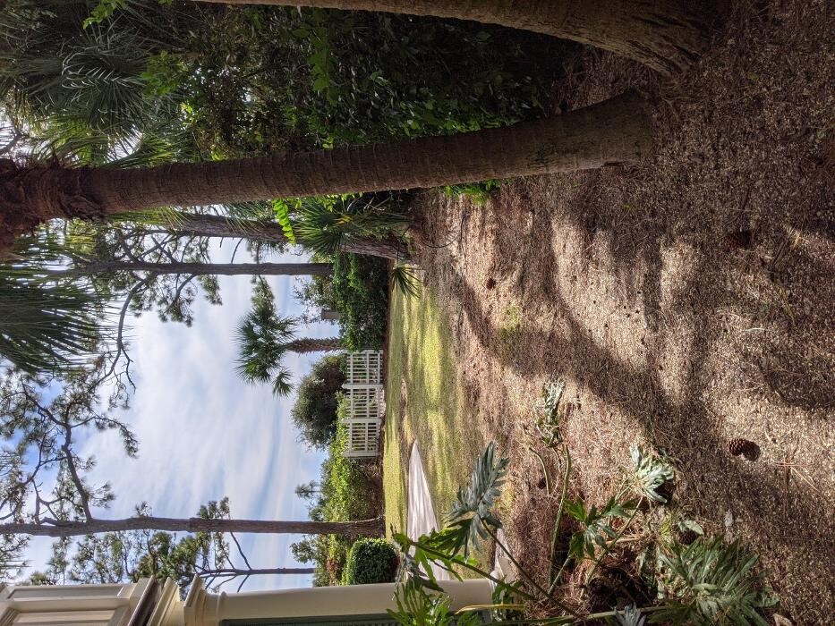 Images Southern Crab Stump Grinding