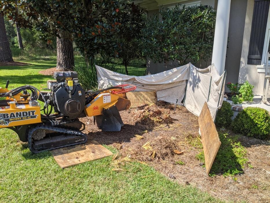 Images Southern Crab Stump Grinding