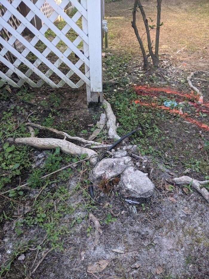 Images Southern Crab Stump Grinding