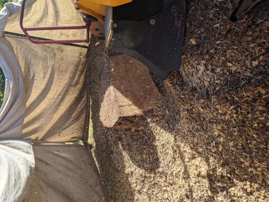 Images Southern Crab Stump Grinding