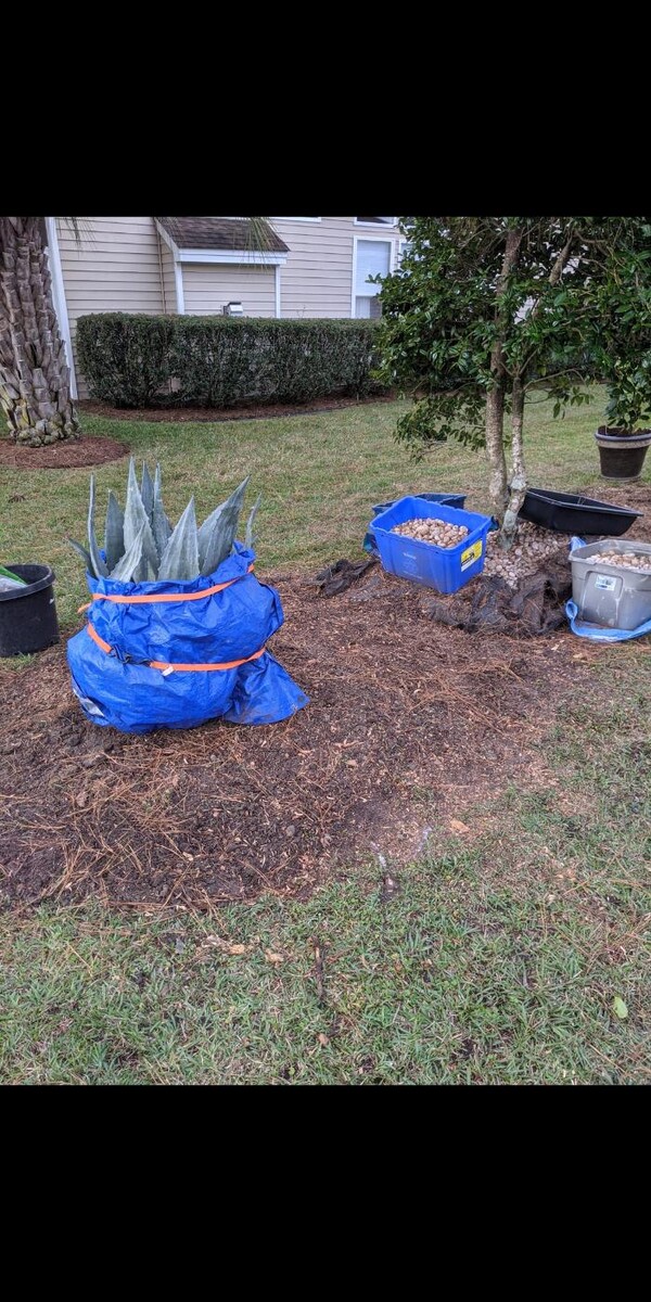 Images Southern Crab Stump Grinding