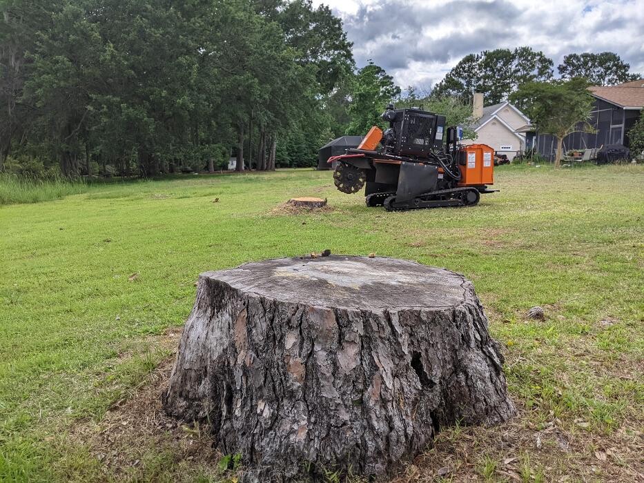 Images Southern Crab Stump Grinding