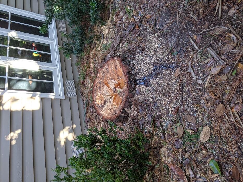Images Southern Crab Stump Grinding