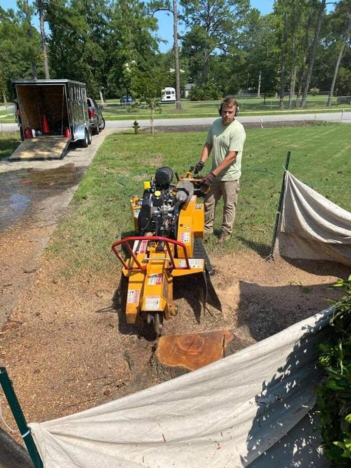 Images Southern Crab Stump Grinding