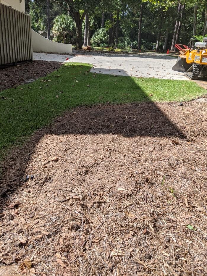 Images Southern Crab Stump Grinding