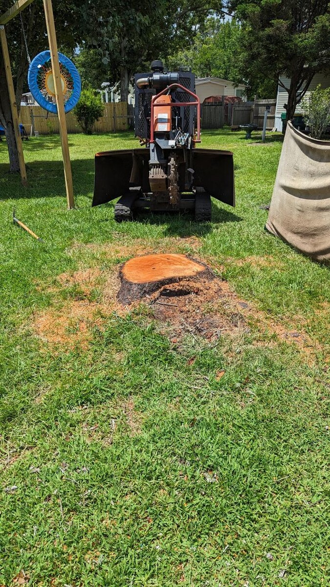 Images Southern Crab Stump Grinding