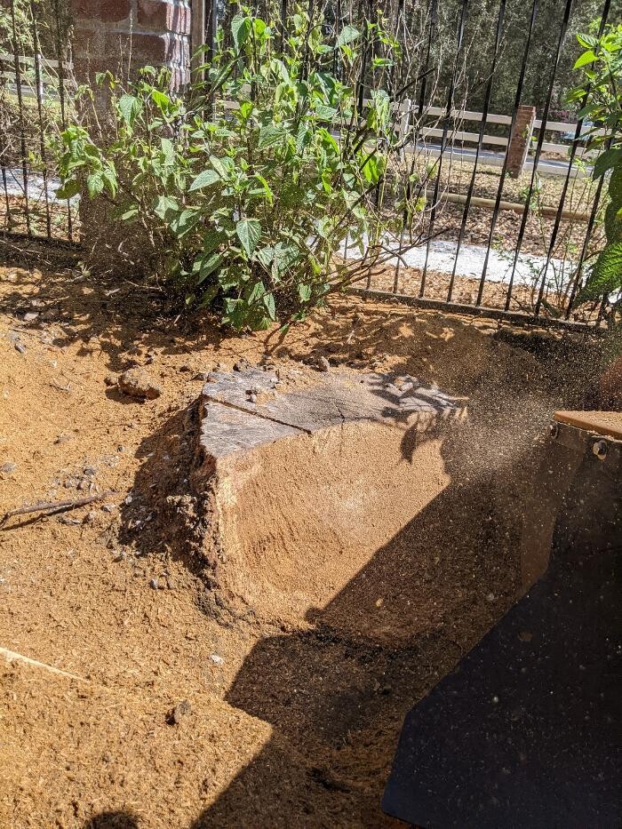 Images Southern Crab Stump Grinding