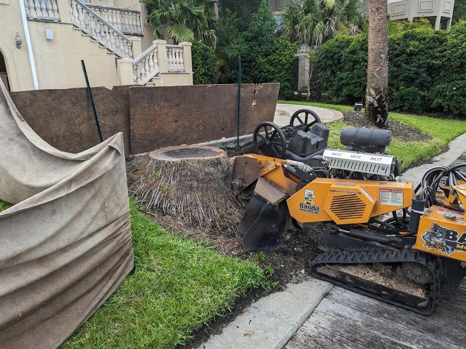 Images Southern Crab Stump Grinding