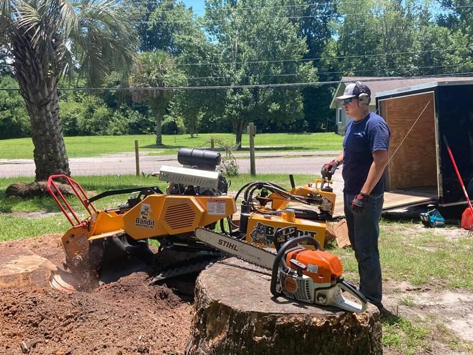 Images Southern Crab Stump Grinding