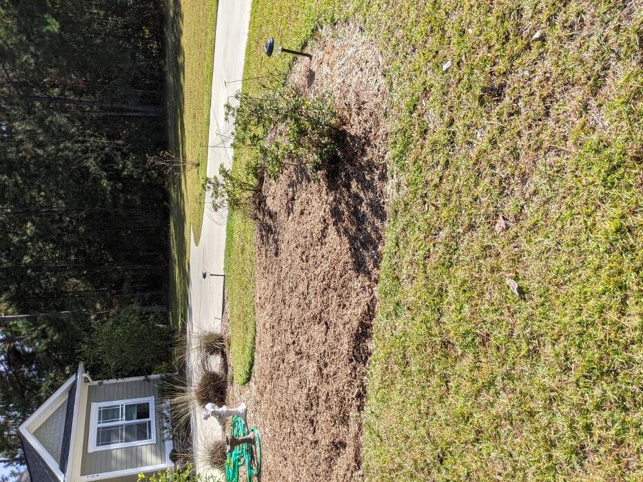 Images Southern Crab Stump Grinding