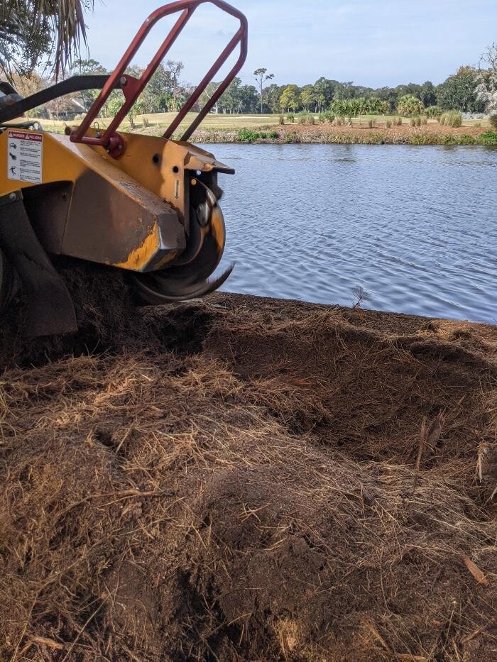 Images Southern Crab Stump Grinding
