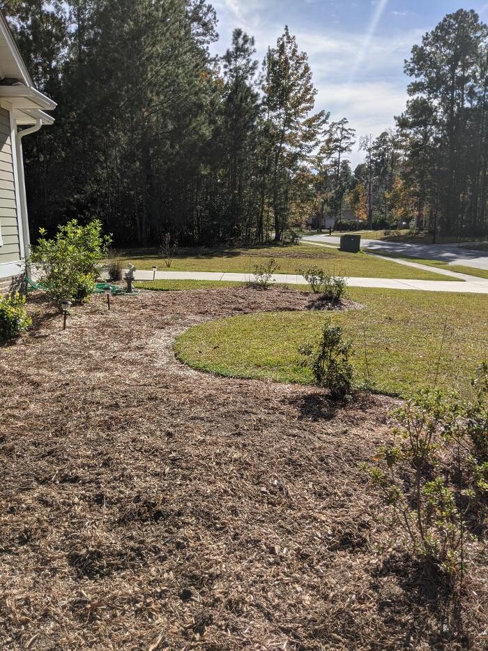 Images Southern Crab Stump Grinding
