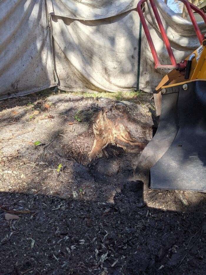 Images Southern Crab Stump Grinding