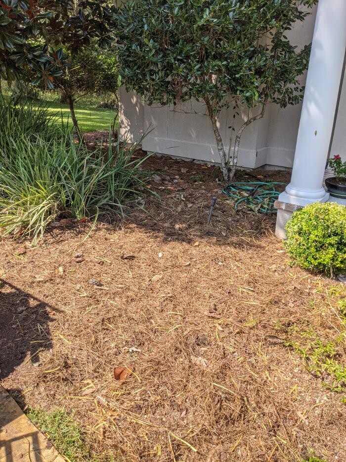 Images Southern Crab Stump Grinding