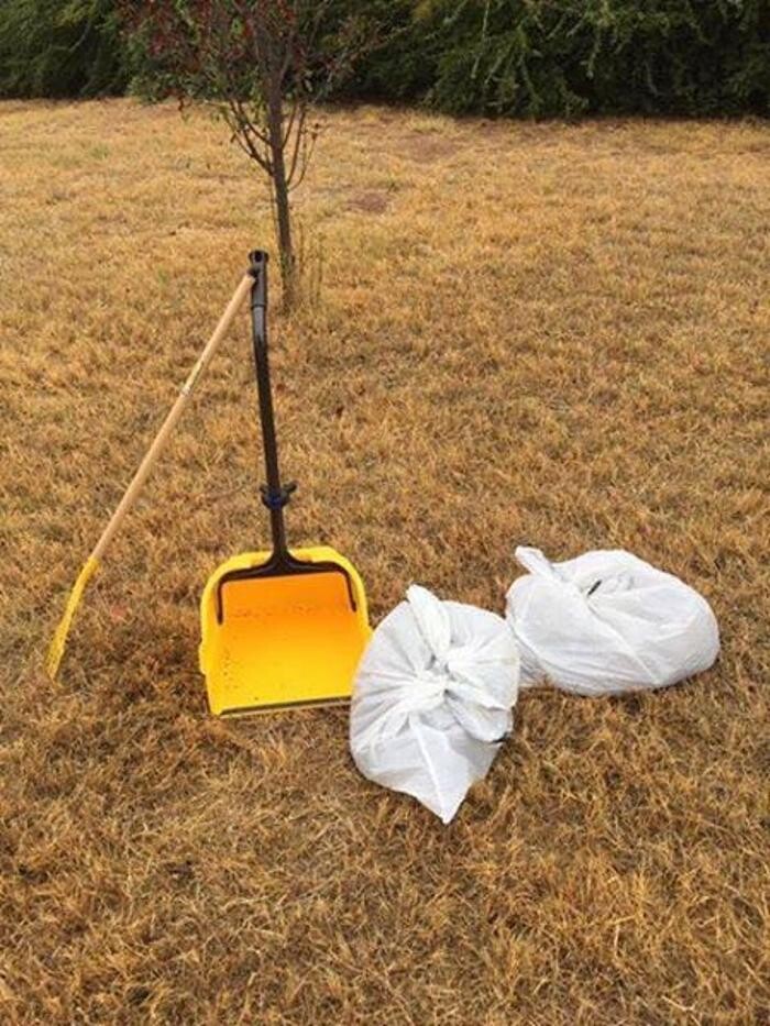 Images Private Pile's Pet Waste Management