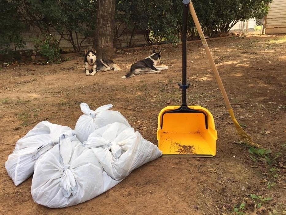 Images Private Pile's Pet Waste Management