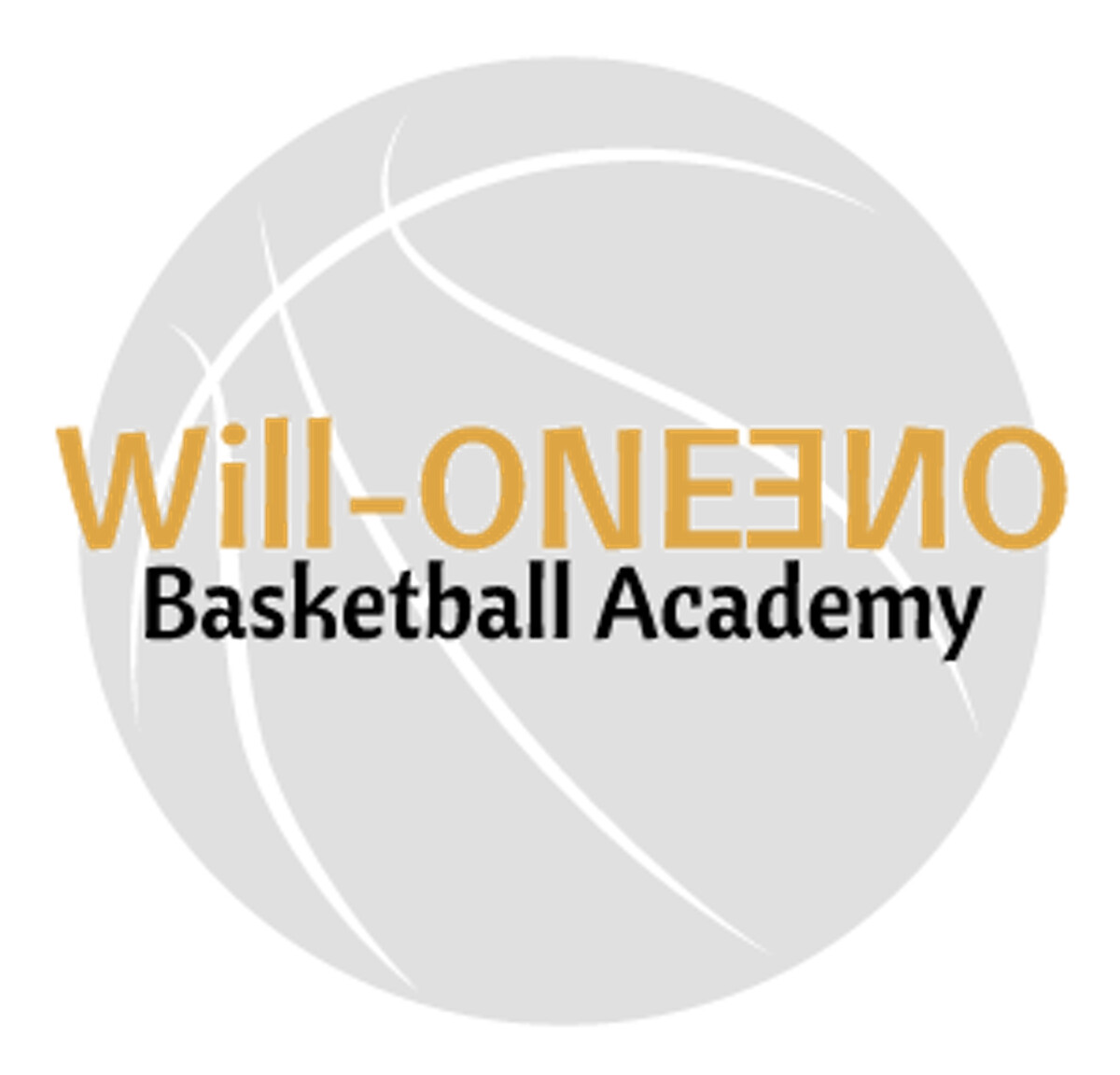 Will-One Basketball Academy Logo