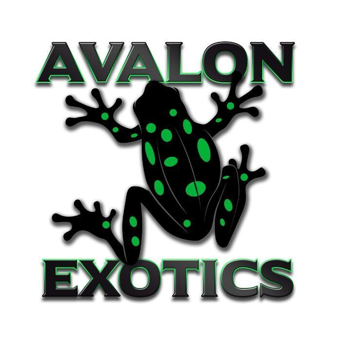 Avalon Exotics Logo