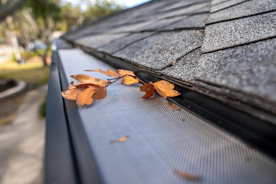 Images The Brothers That Just Do Gutters