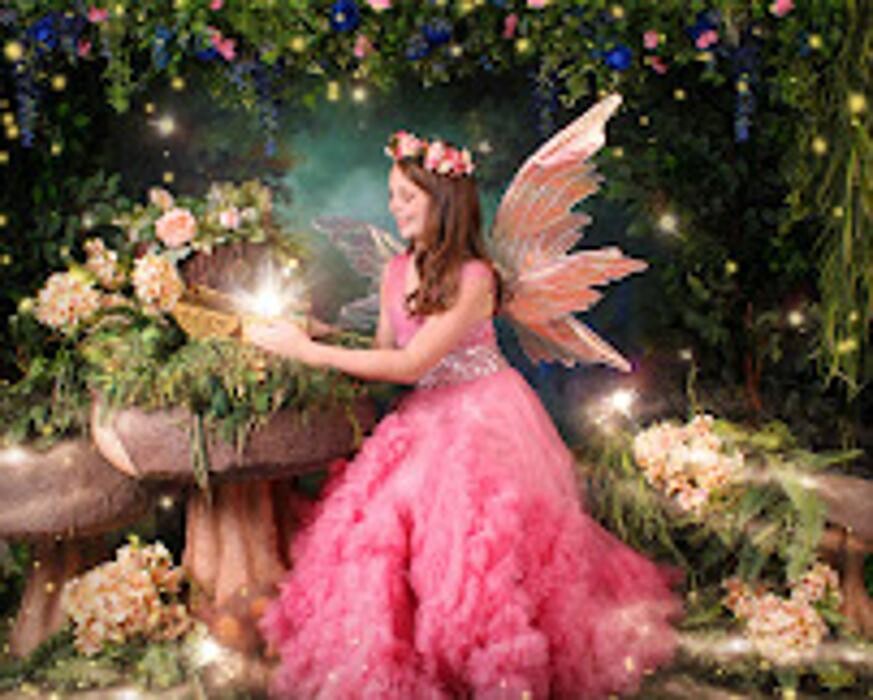 Images Enchanted Fairies