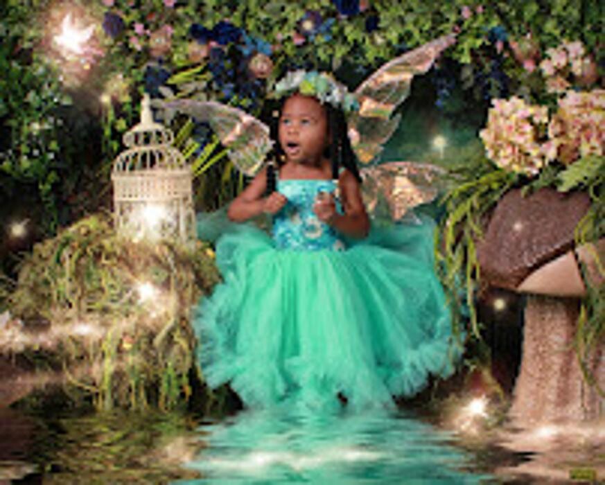 Images Enchanted Fairies
