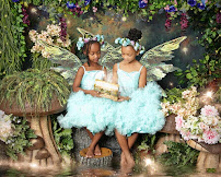 Images Enchanted Fairies