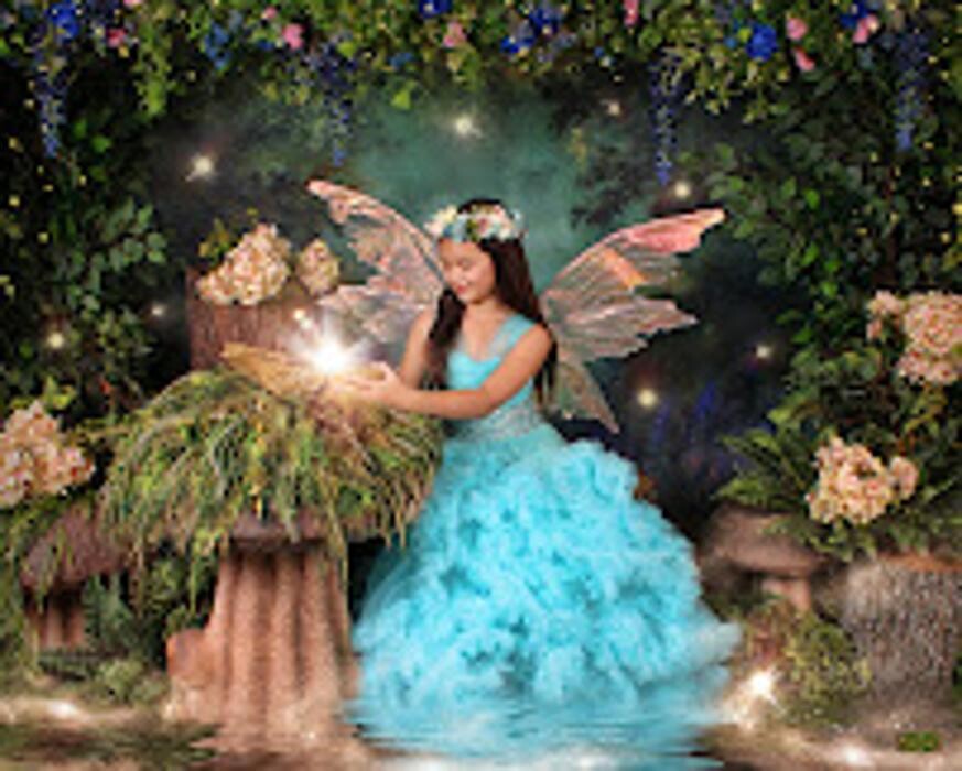 Images Enchanted Fairies