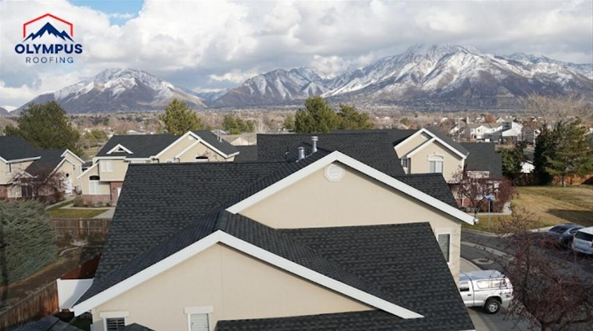 Images Olympus Roofing