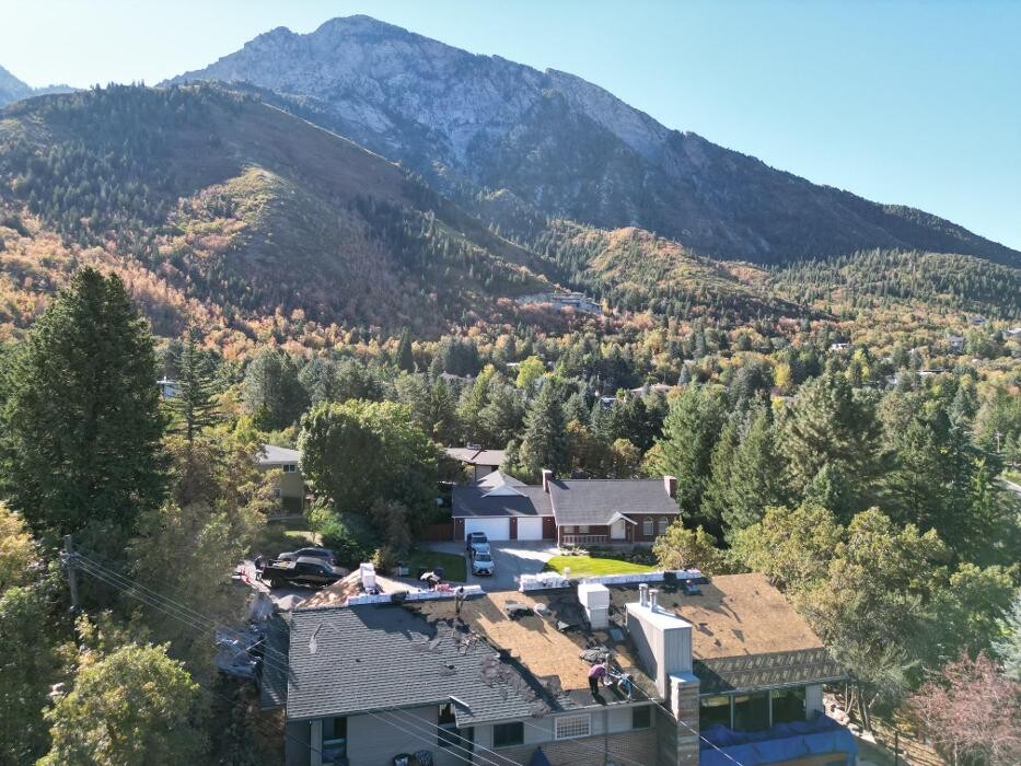 Images Olympus Roofing