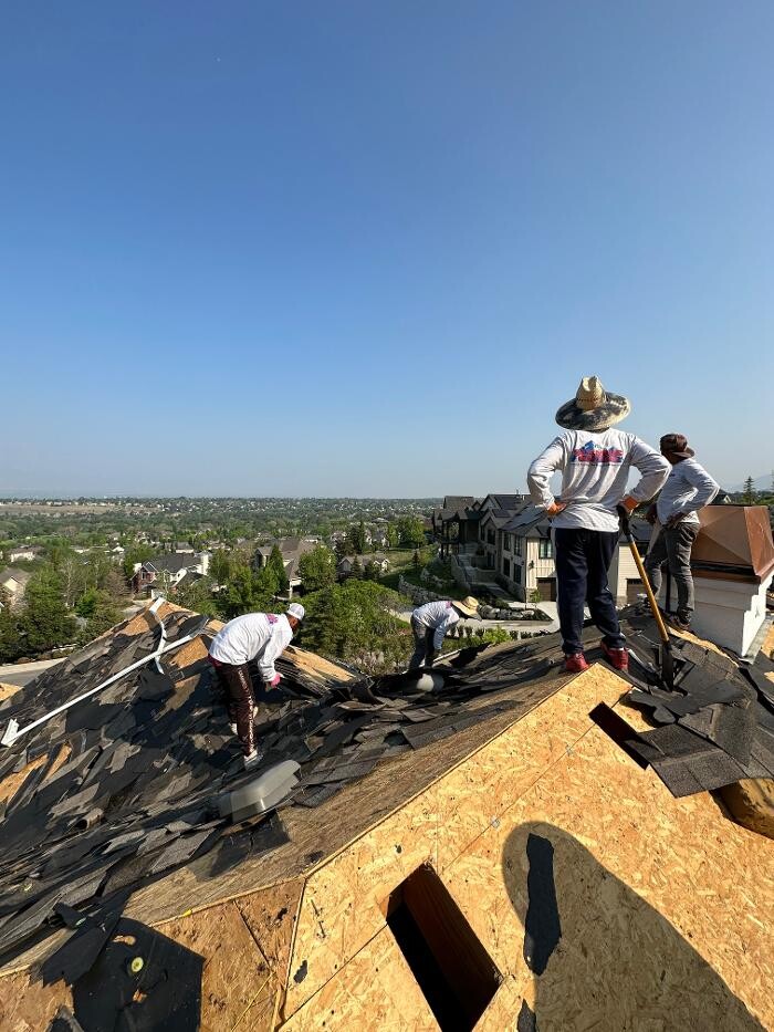 Images Olympus Roofing