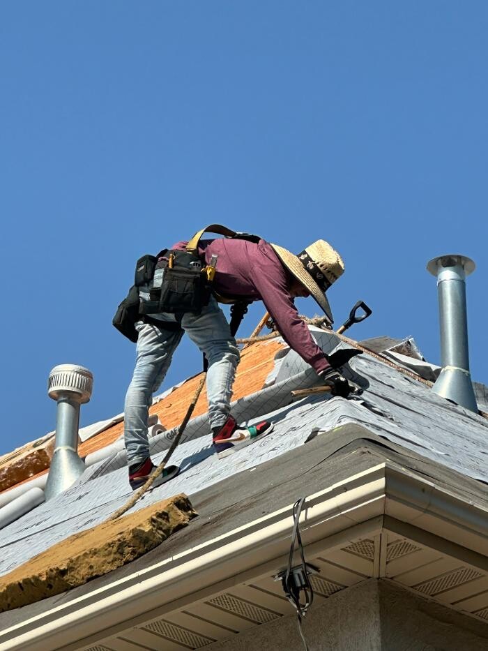 Images Olympus Roofing