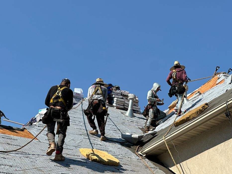 Images Olympus Roofing