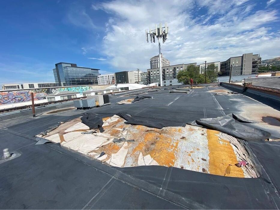 Images Olympus Roofing